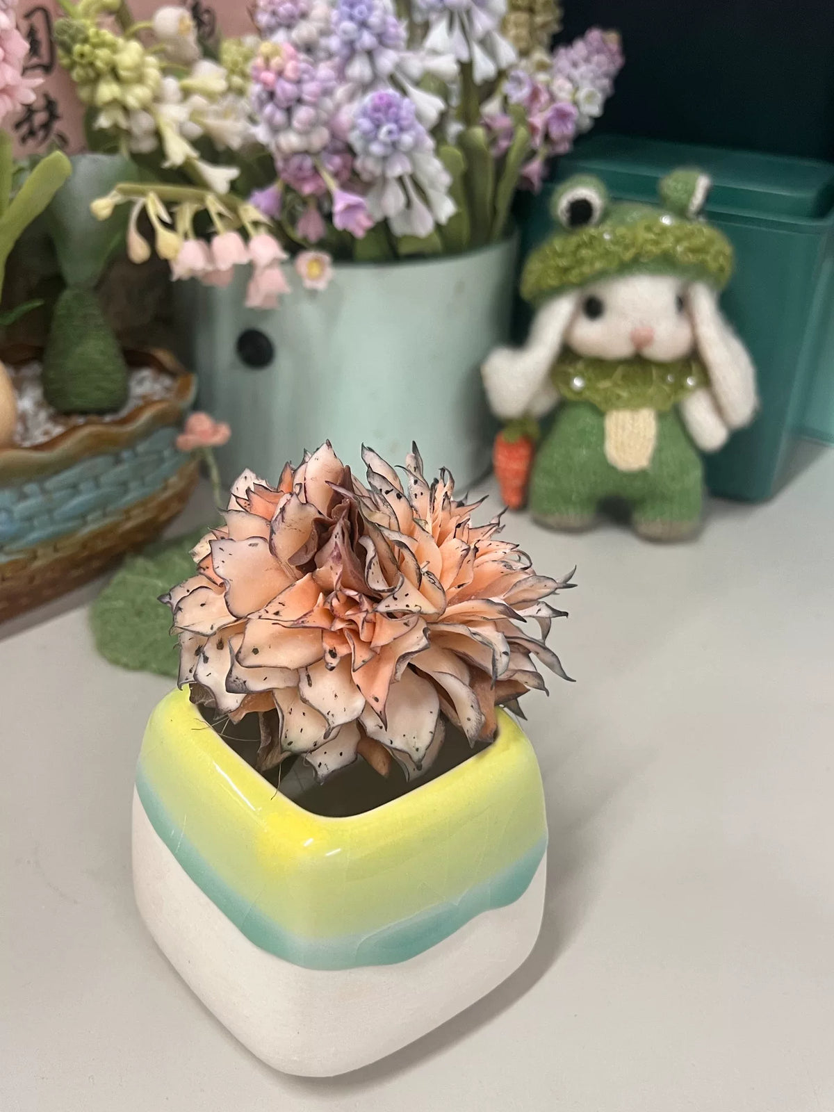Succulenta Echeveria Crestata in Argilla di Resina e Vaso in Ceramica
