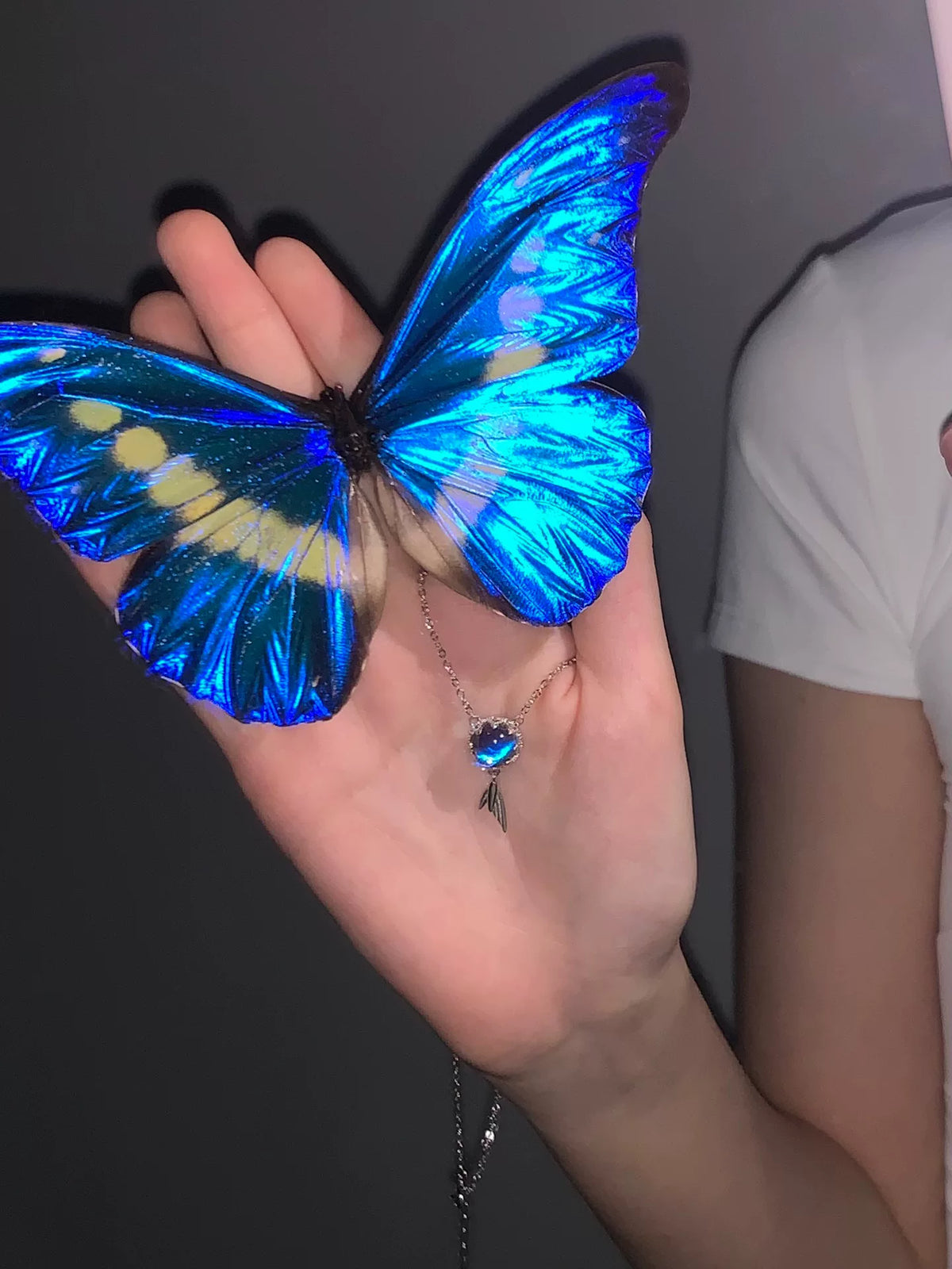 Collana Farfalla Morpho in Argento S925