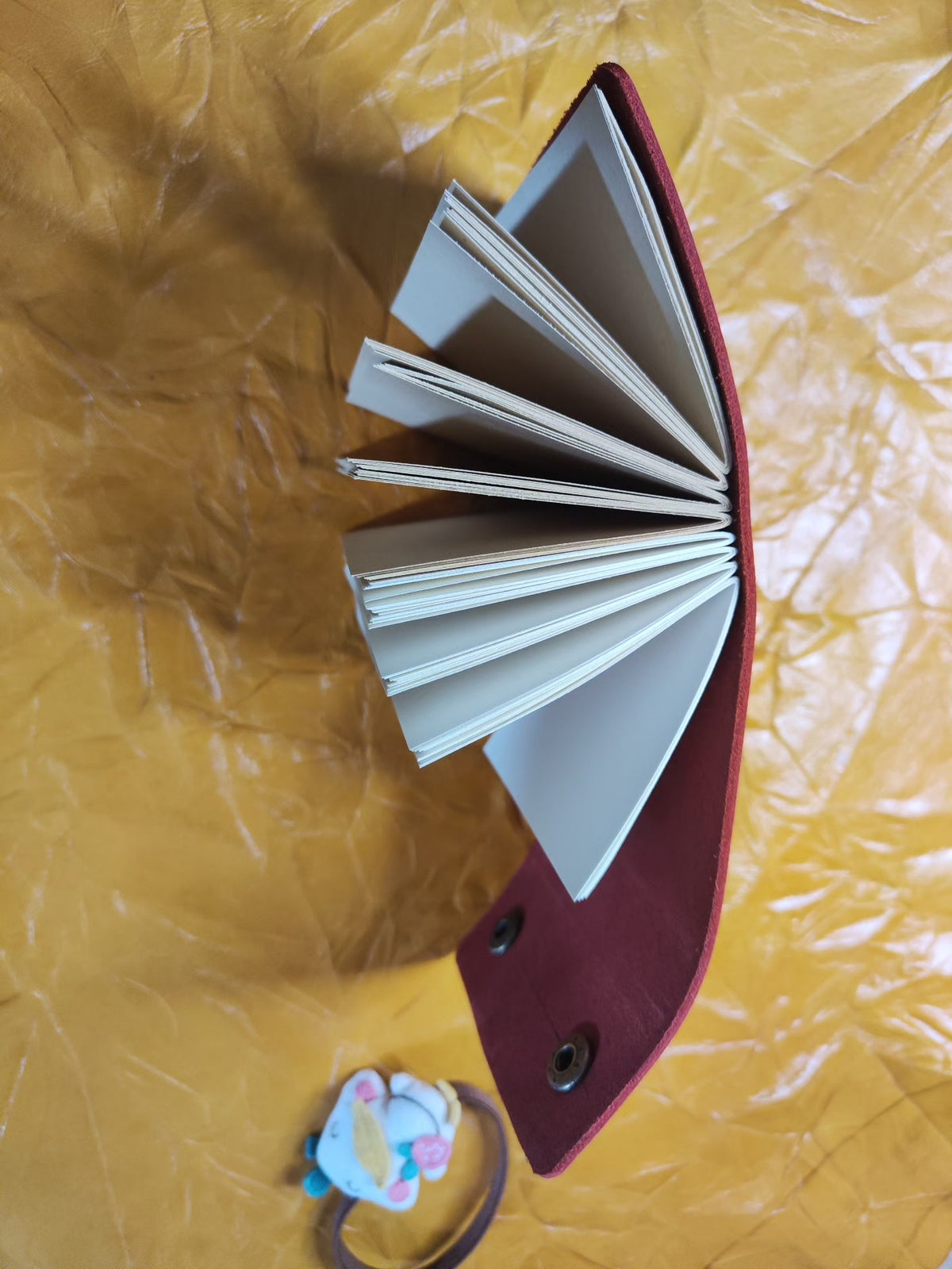 998419819889 - Image 7