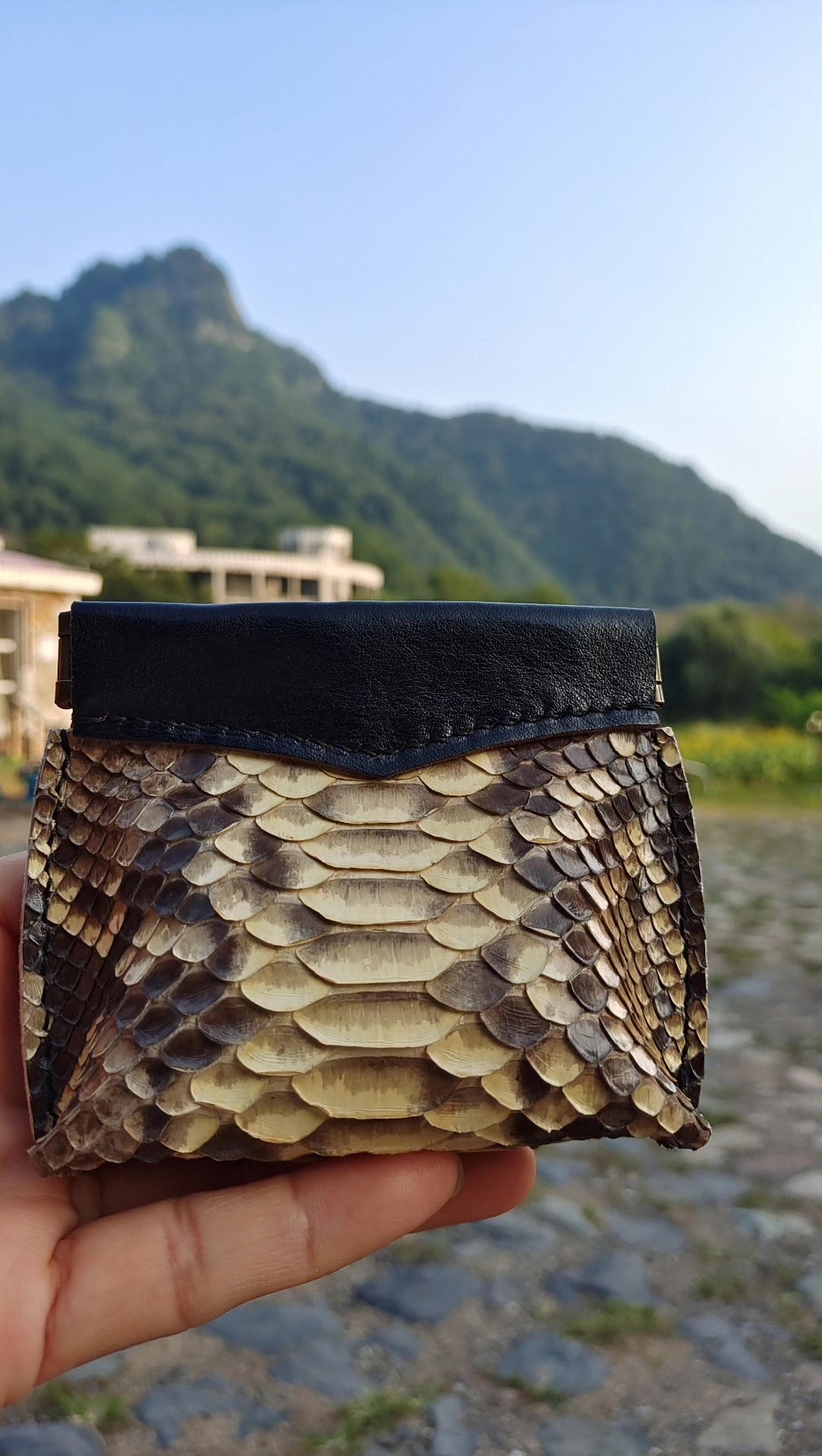 977465460708 - Image 1