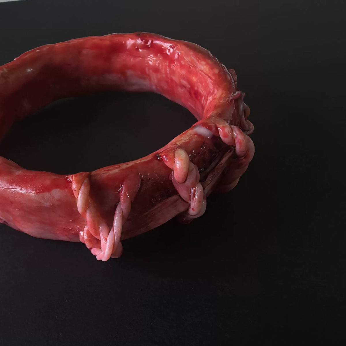1084511069384 - Image 6