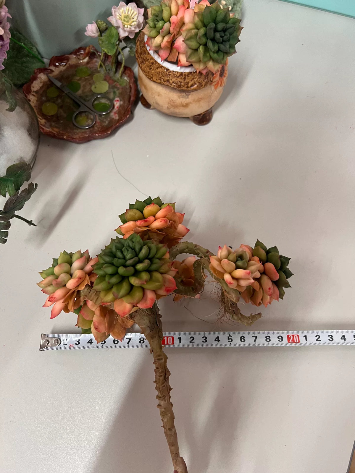 Succulenta in Argilla di Resina con Sette Rossette