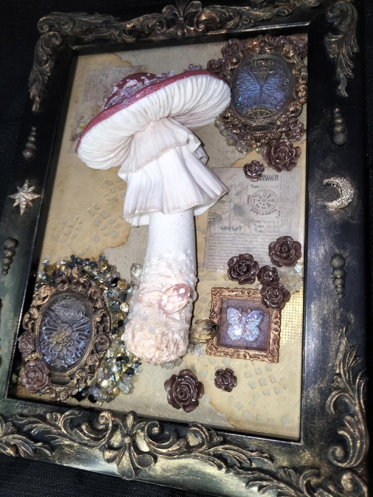 Framed Mushroom Mixed Media Artwork