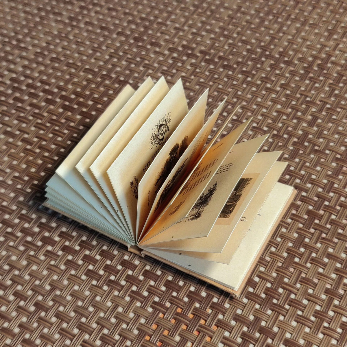 1045607087918 - Image 5