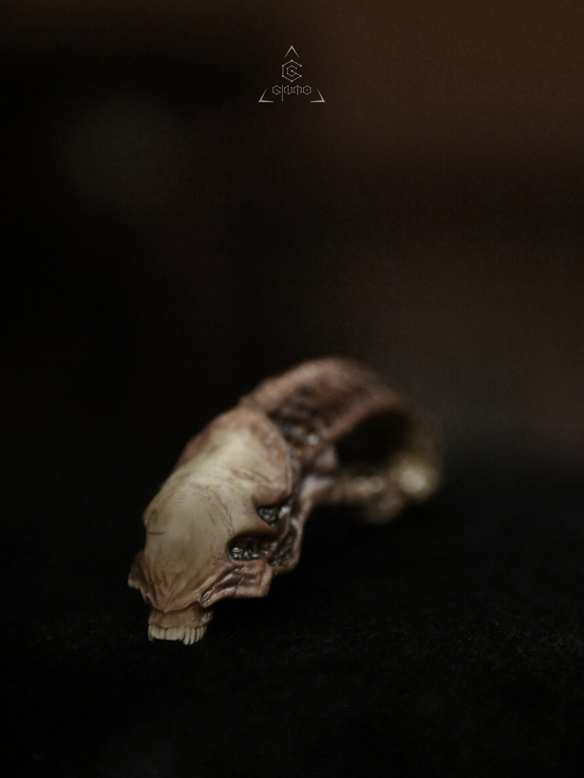 761814781656 - Image 5
