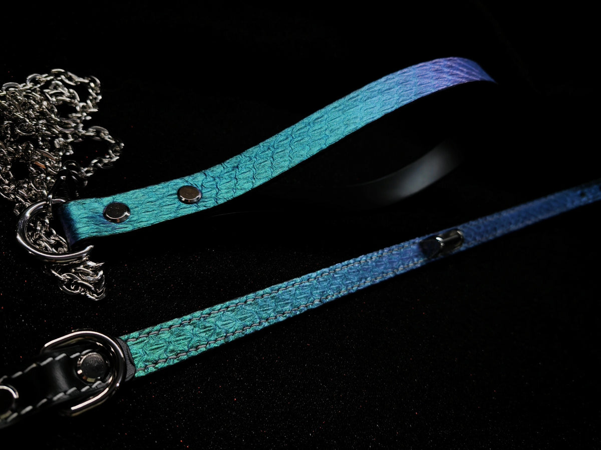 Set Collare e Guinzaglio per Animali in Pelle Effetto Pitone Verde e Viola