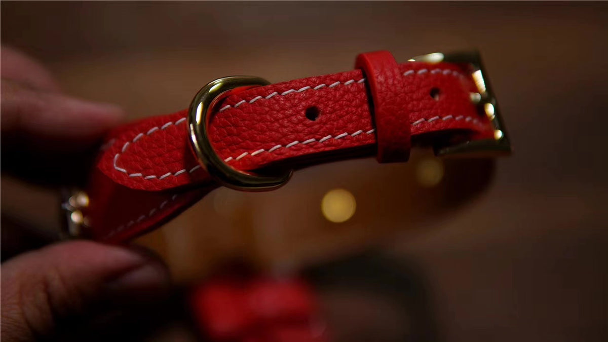 Red Leather Dog Collar with Clear Stones