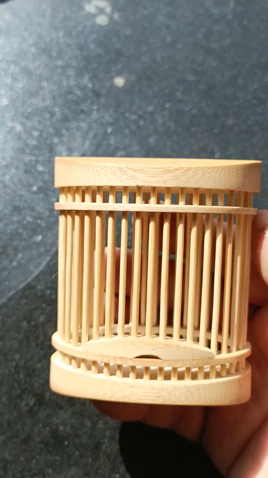 Large Oval Bamboo Katydid Cage