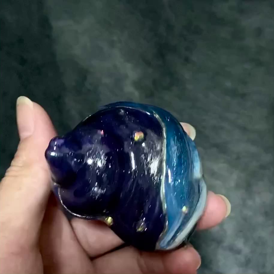 Hermit Crab Relief Shell Ocean Design