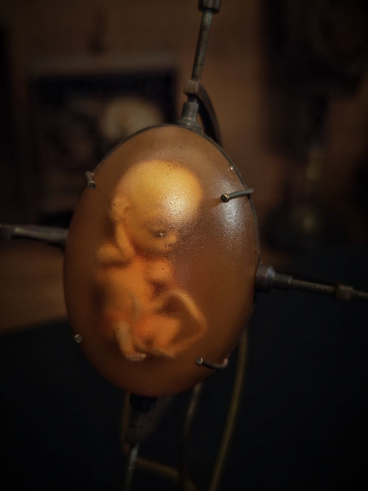1071380130479 - Image 4