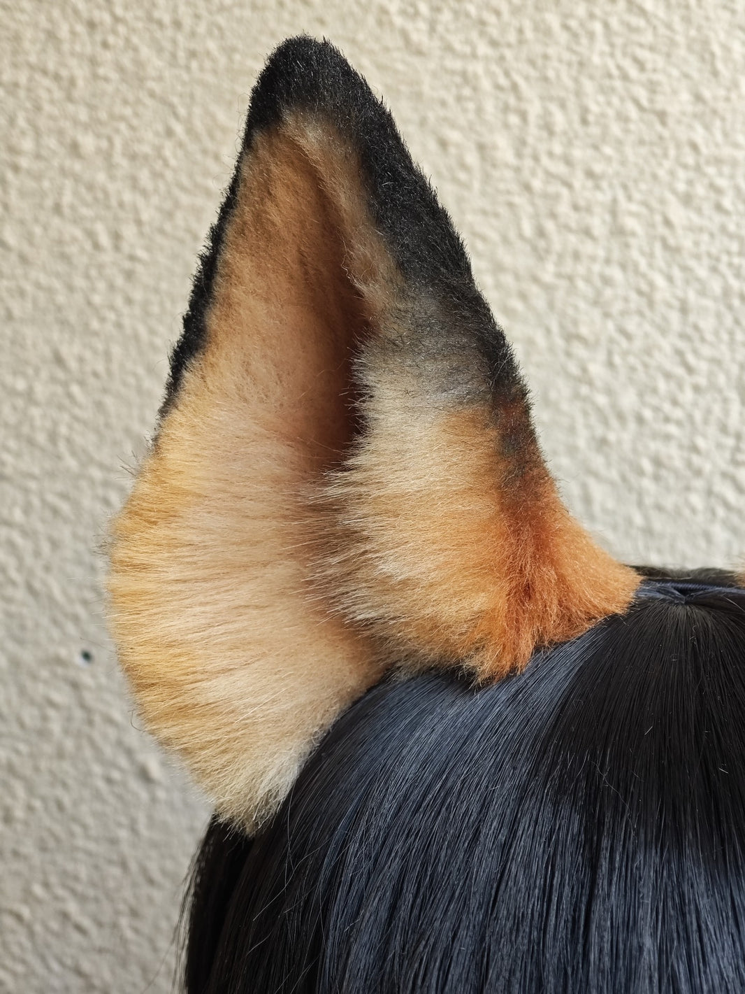 994051832976 - Image 1