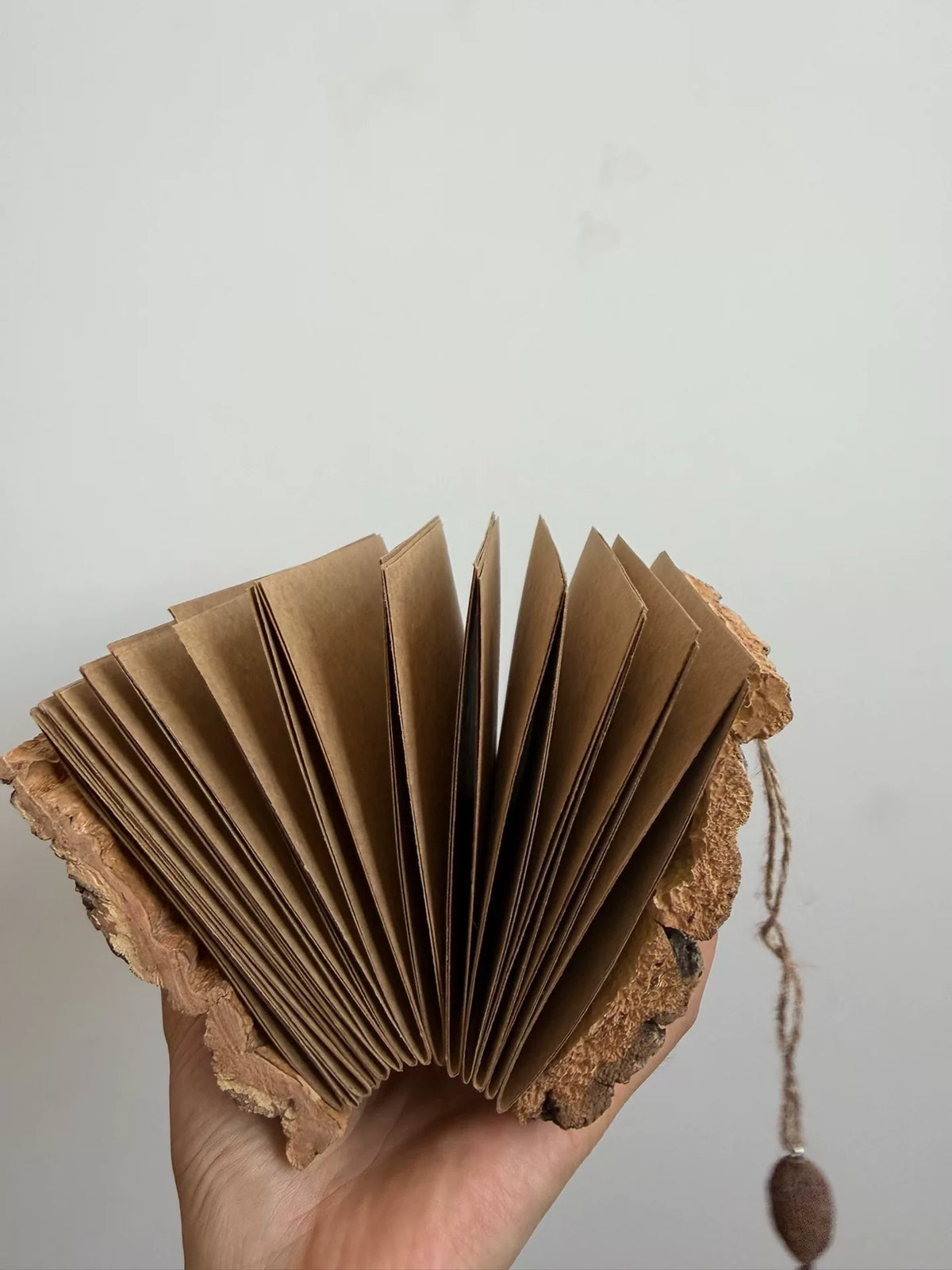 1069958266356 - Image 4