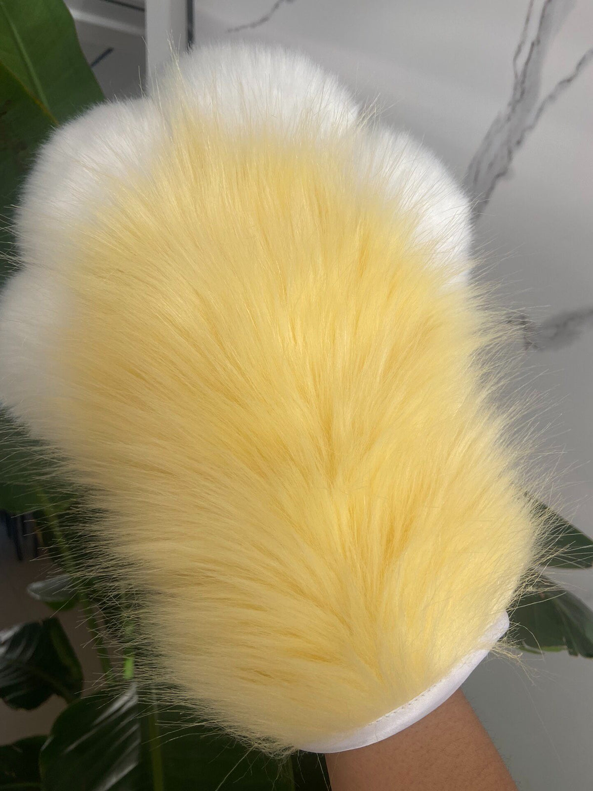 774604059457 - Image 5