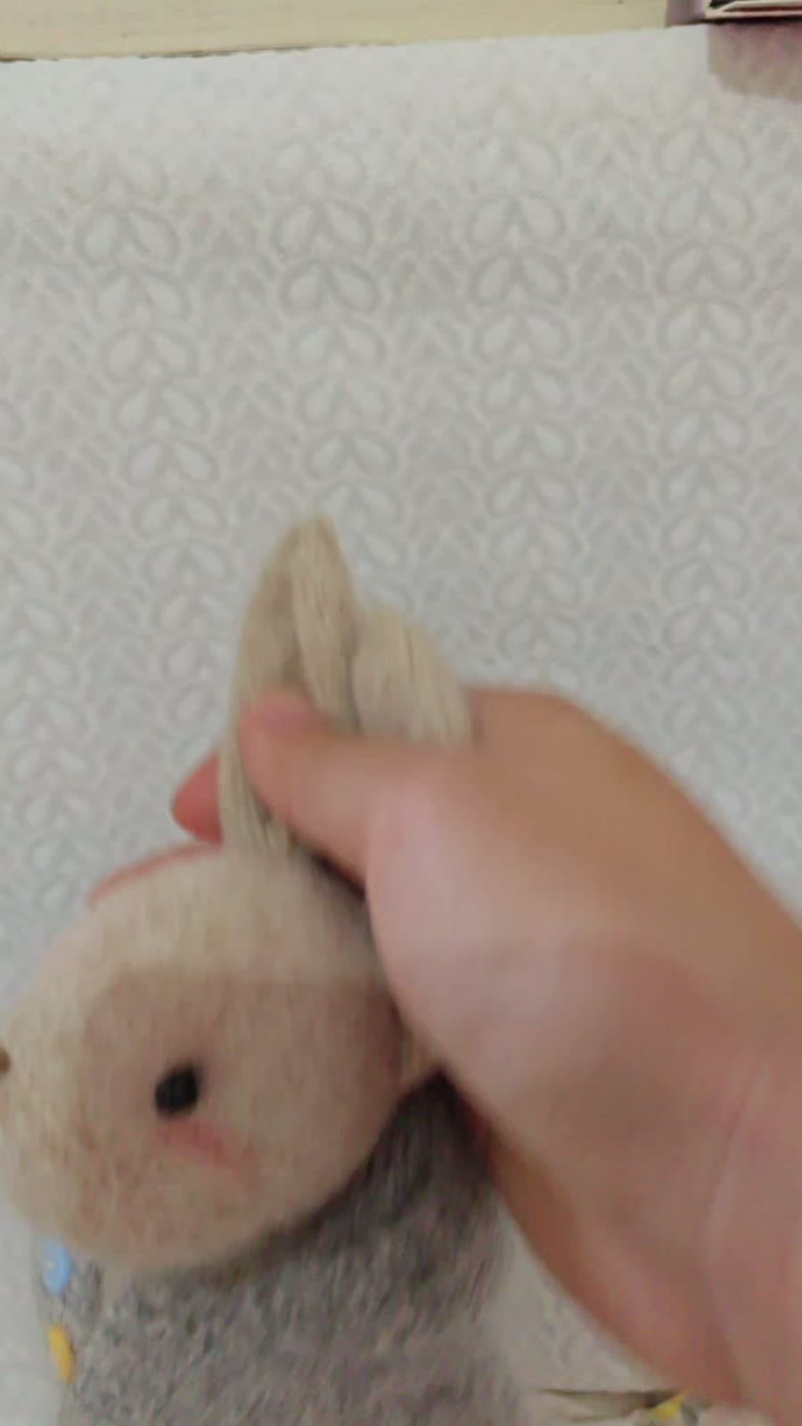 1058676847239 - Image 11