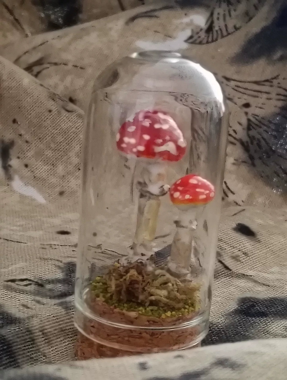 Handcrafted Mushroom Terrarium in Glass Dome