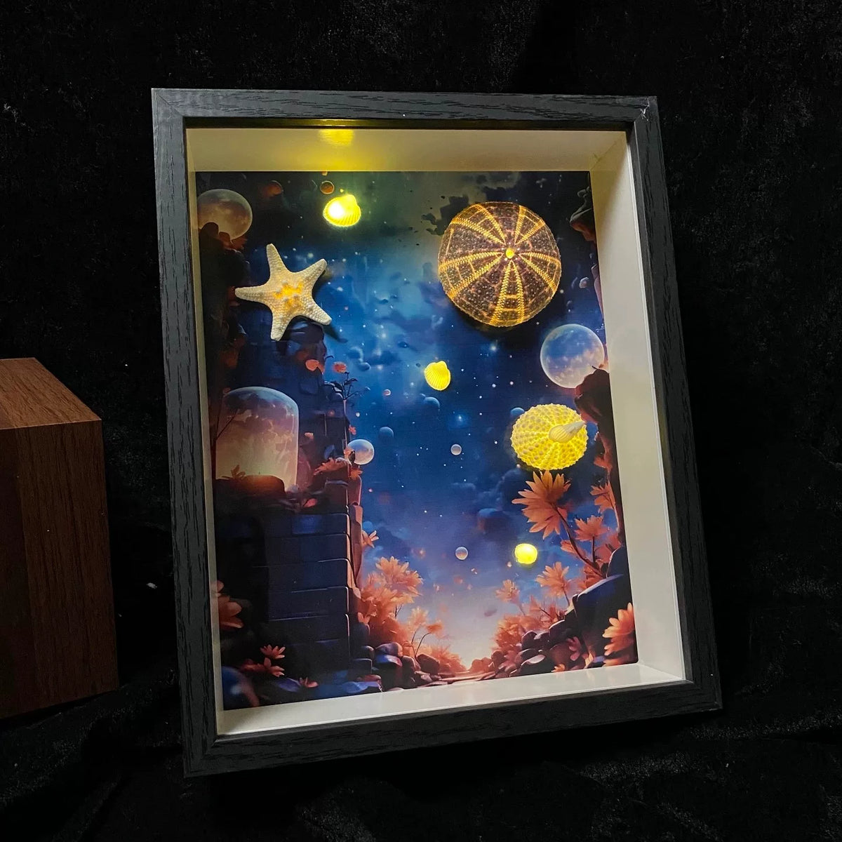 Sea Urchin Lamp Shadow Box Frame