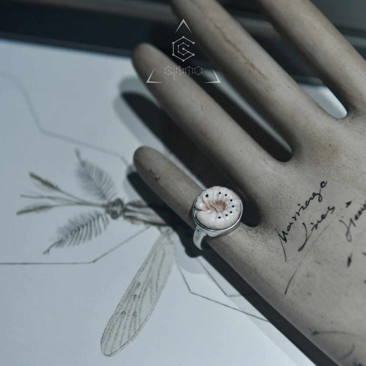 669770385909 - Image 7