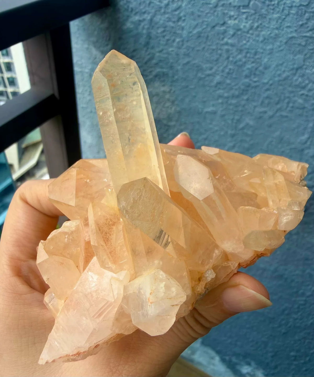 Oversized Crystal Bonsai Citrine Cluster Ceramic Bowl
