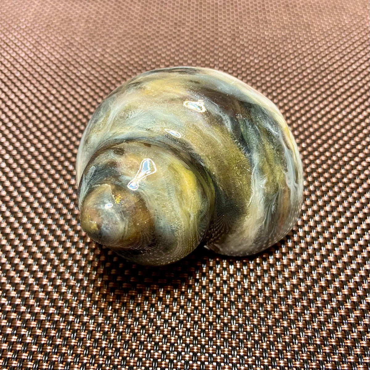 Hermit Crab Shell Ink Wash Custom
