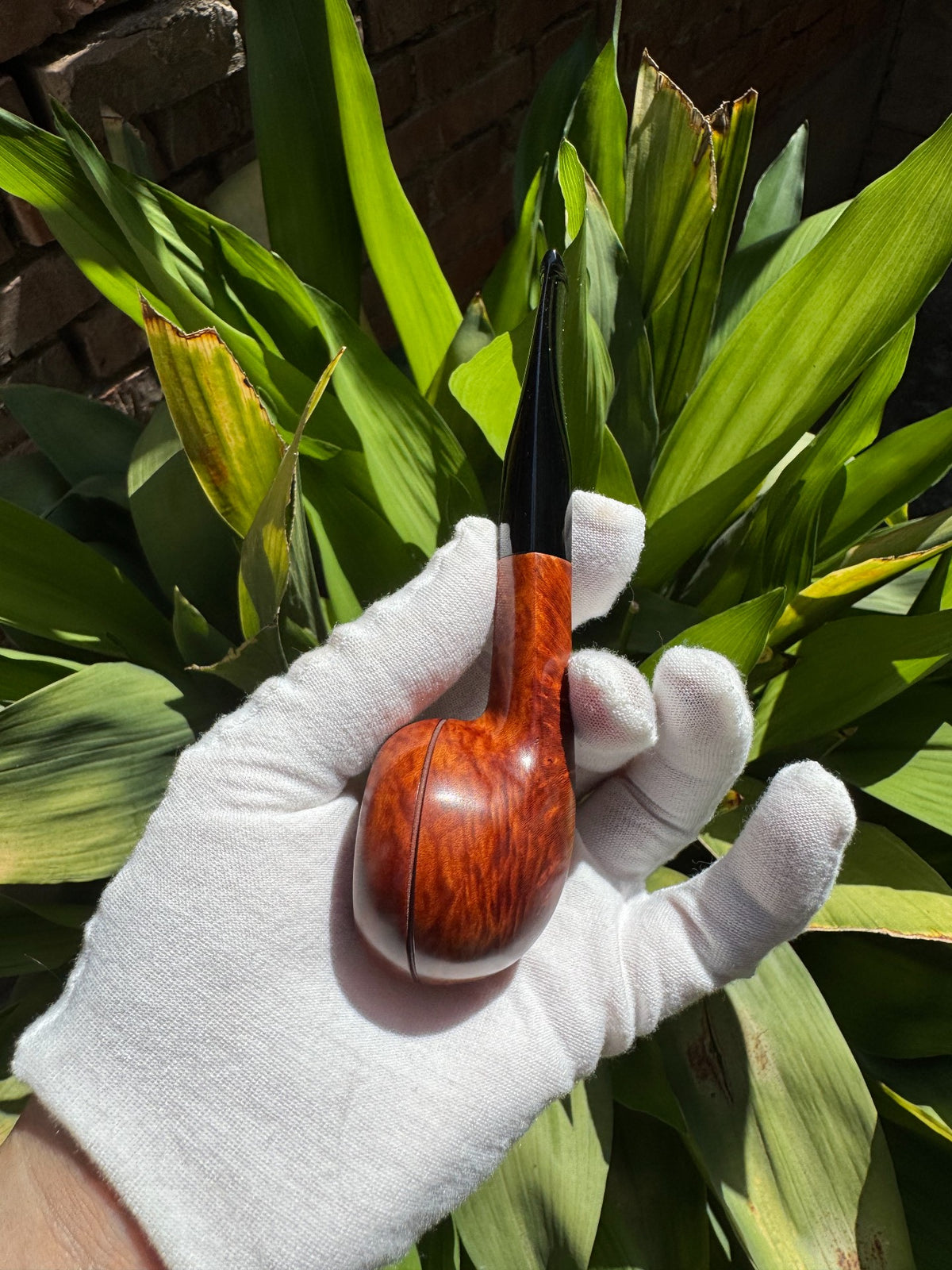Pipa da fumo in radica marrone rossastro
