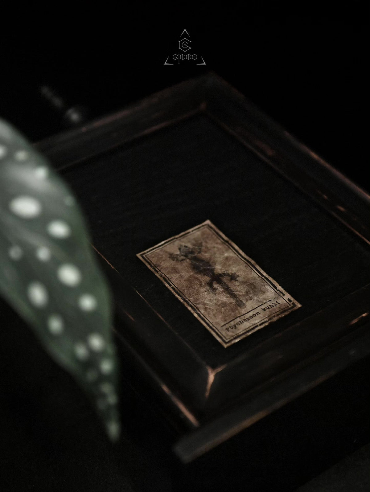 766390974641 - Image 6