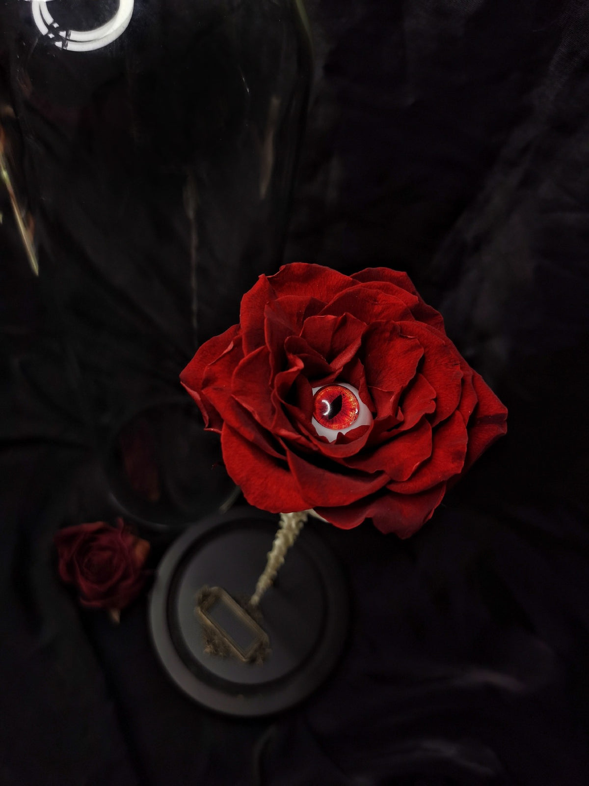 Gothic Rose Spine Specimen Dome