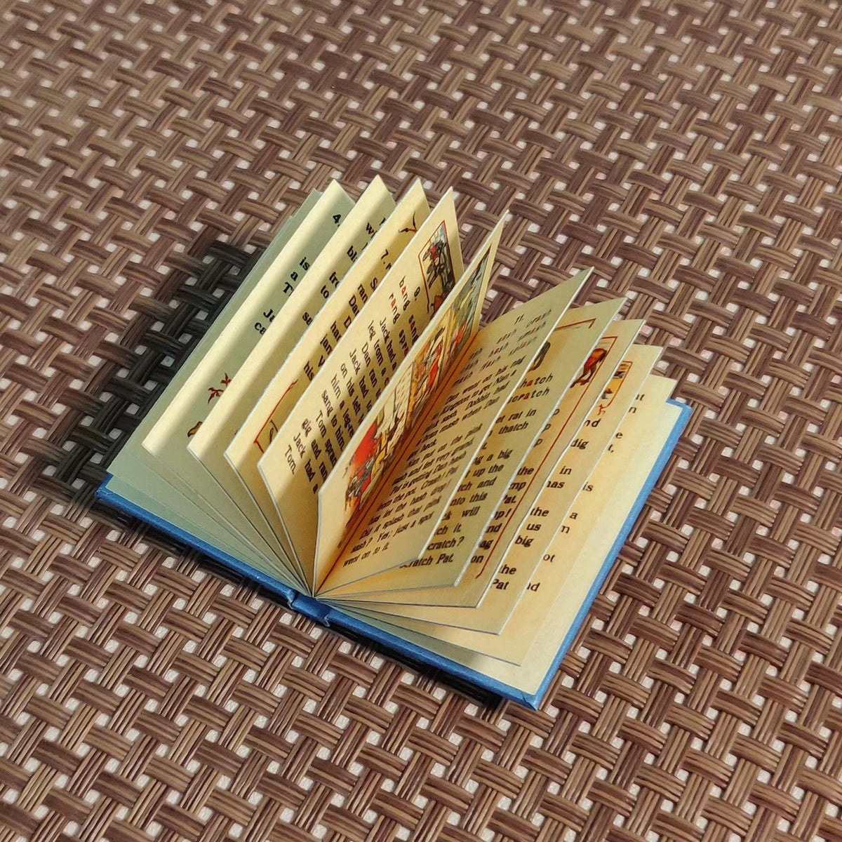 Libro in Miniatura Scala 1/6 Blu