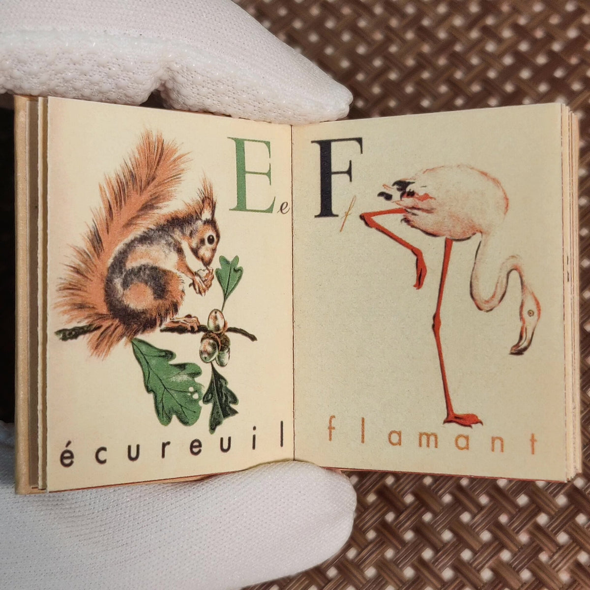 1052444266139 - Image 3