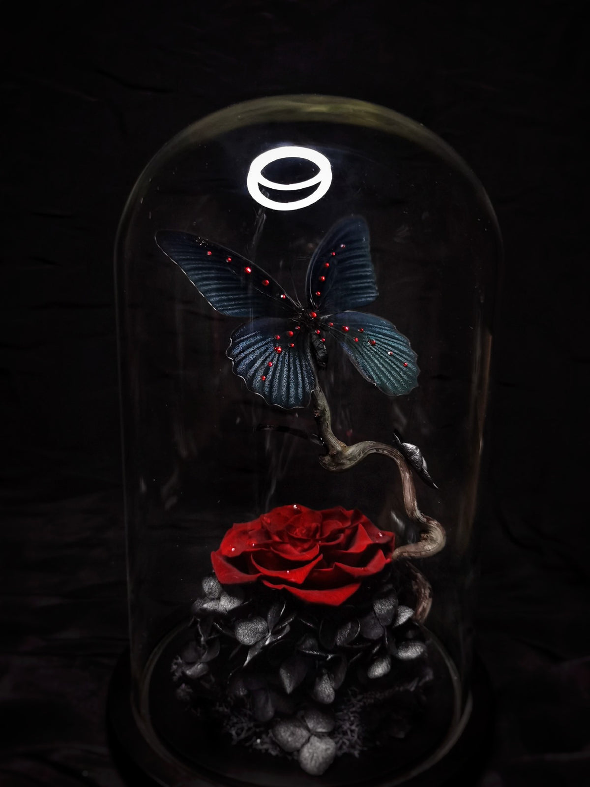 Preserved Rose Butterfly Specimen Glass Dome