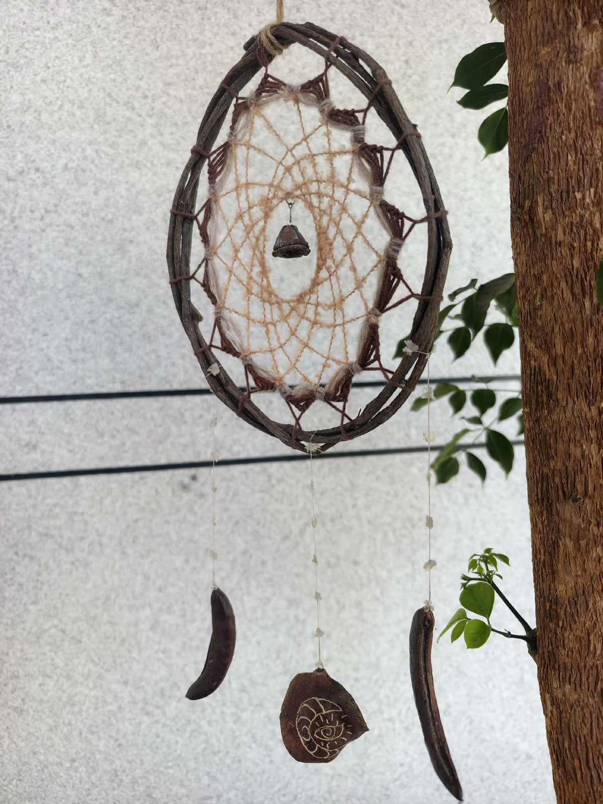 Rustic Wooden Dreamcatcher with Hanging Seed Pods