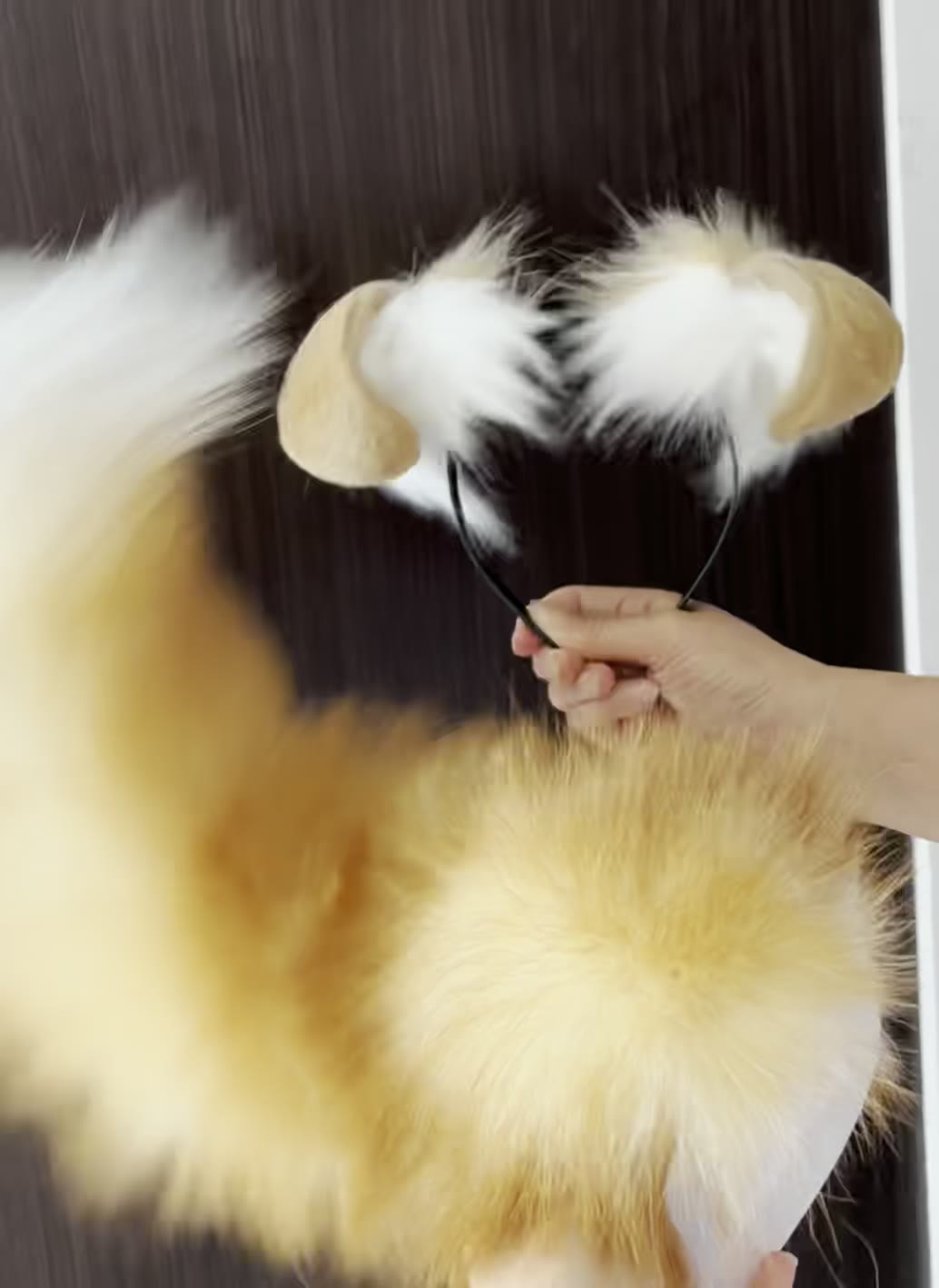 Animated Canine Ears and Tail Cosplay Set