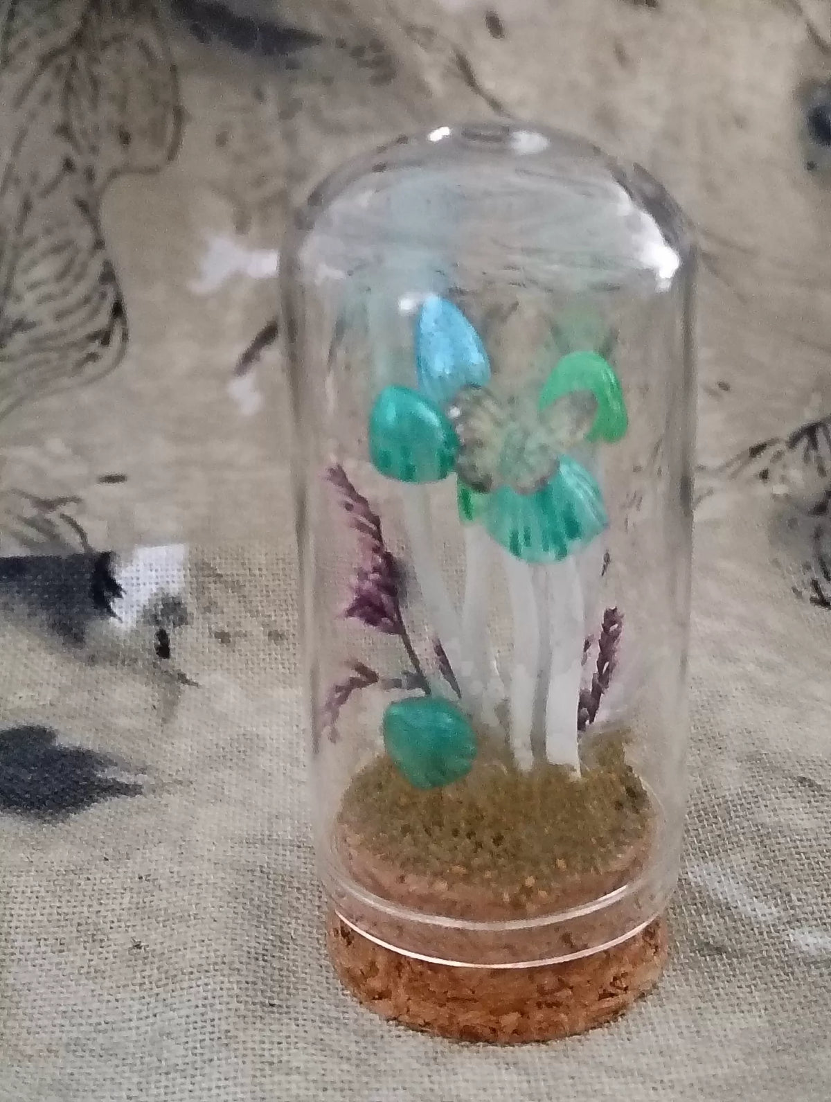 Terrario de setas artesanal en cúpula de cristal