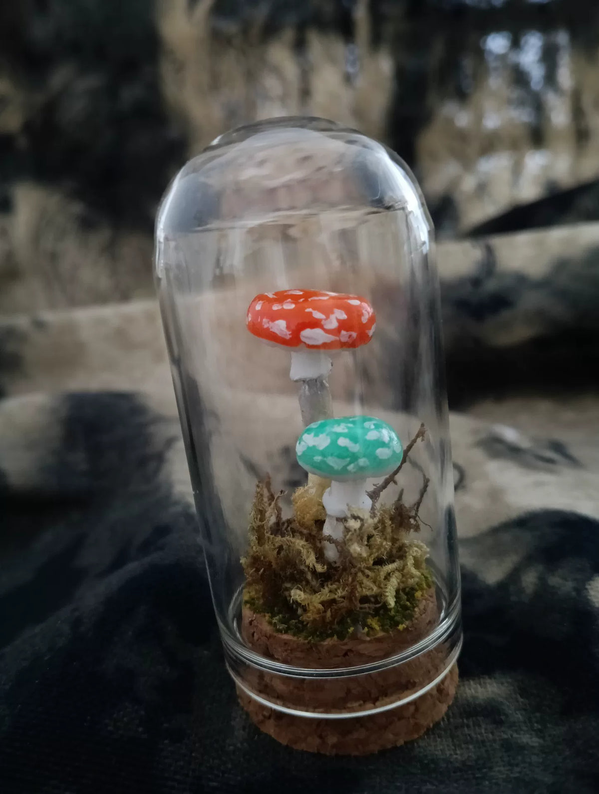 Terrarium de champignons fait main sous cloche de verre