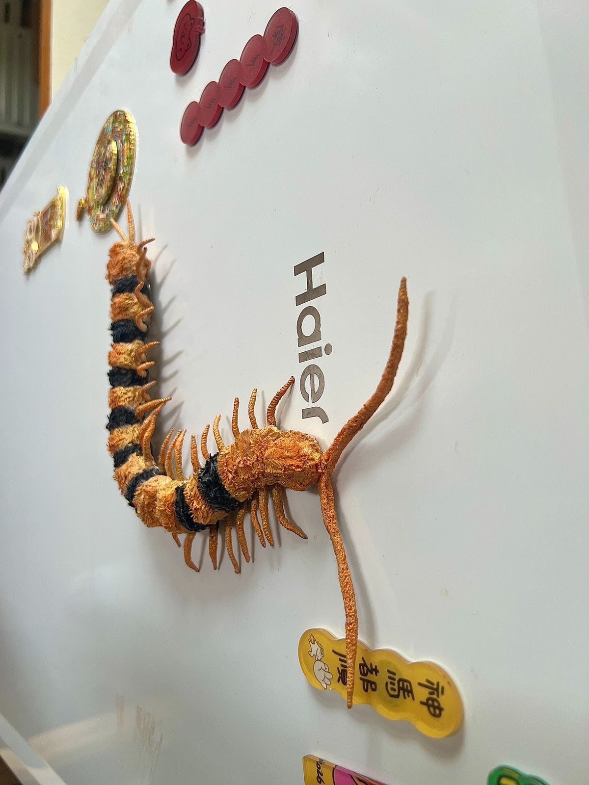 1059973886821 - Image 6