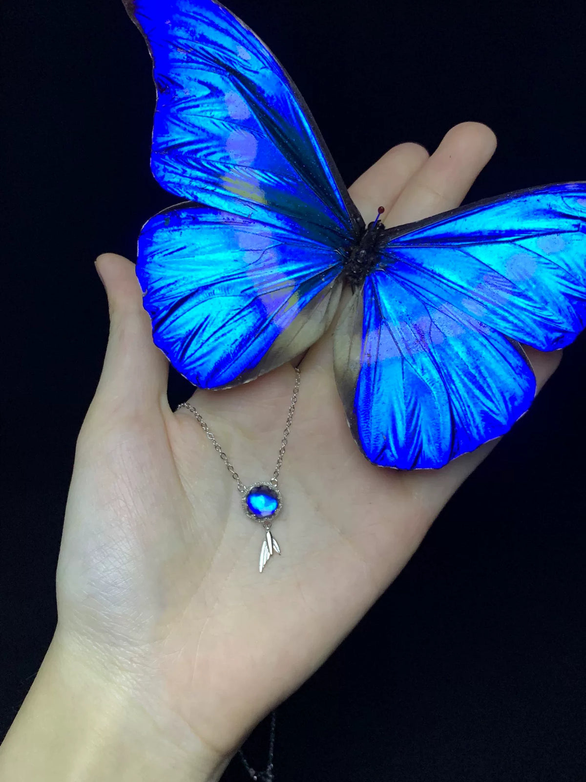 Collana Farfalla Morpho in Argento S925