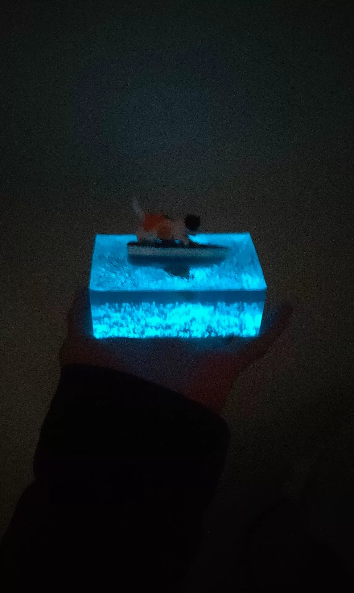 859716869181 - Image 4