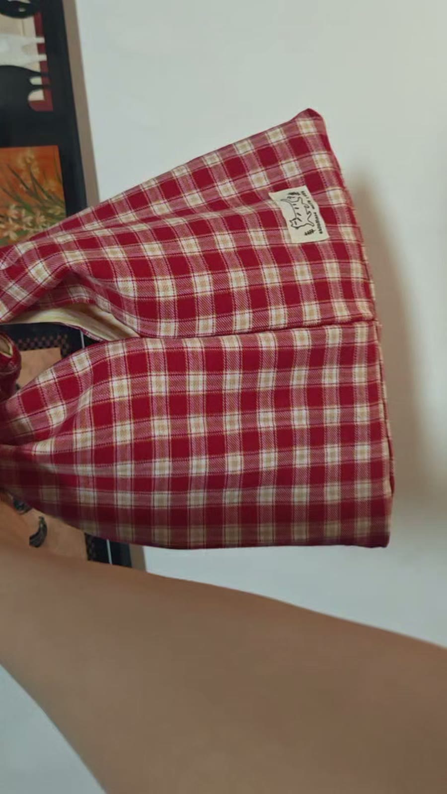 Red Gingham Cotton Knotted Handle Bag
