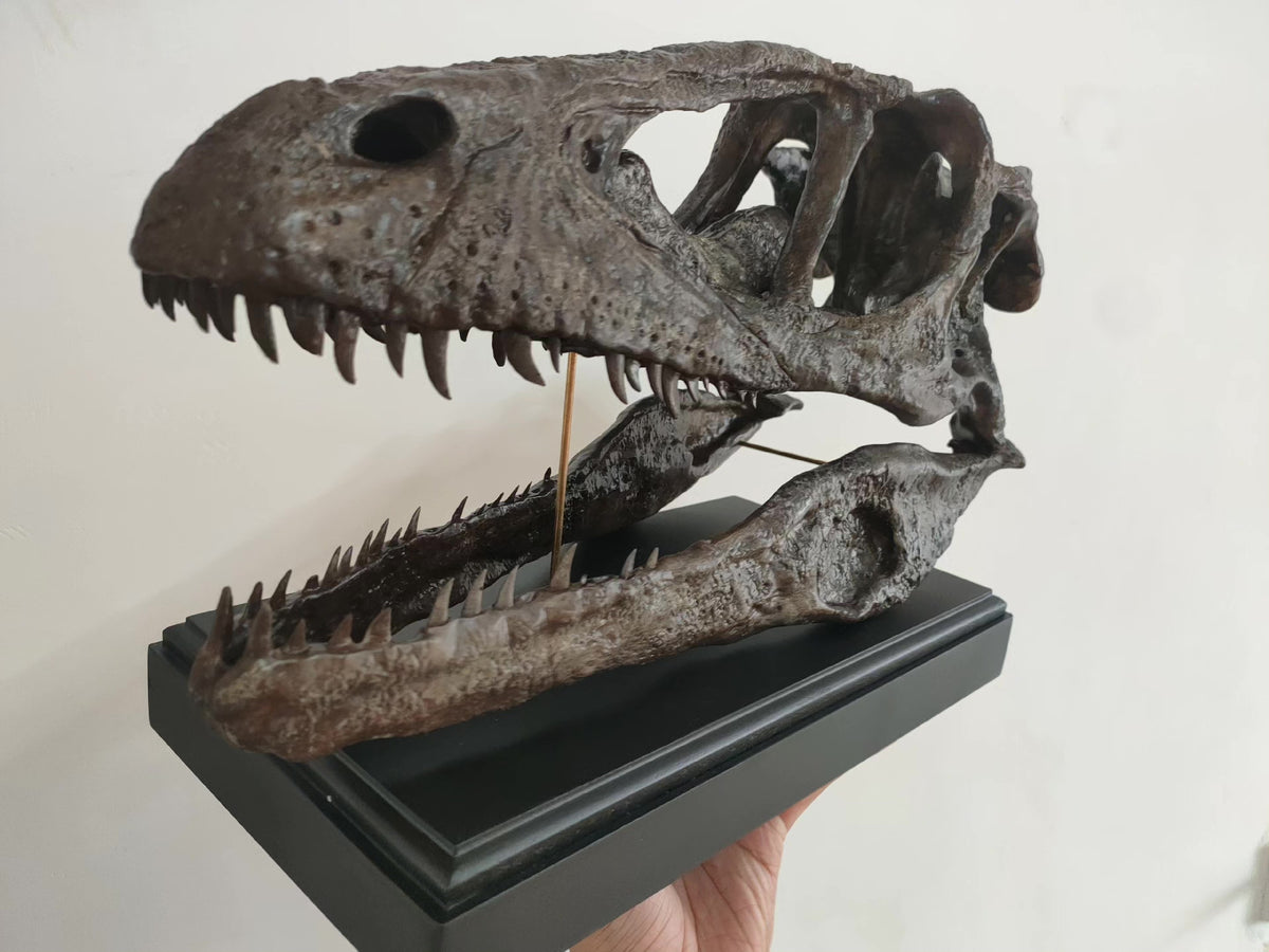 732799249891 - Image 2