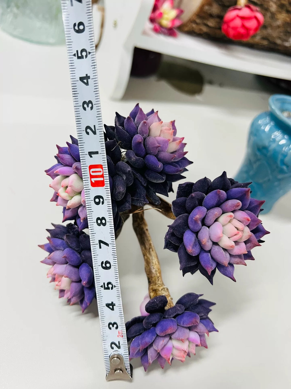 Decoração de Suculenta Roxa em Argila de Resina