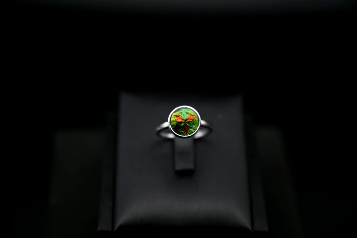 Pure Silver Jewel Beetle Ring 10mm