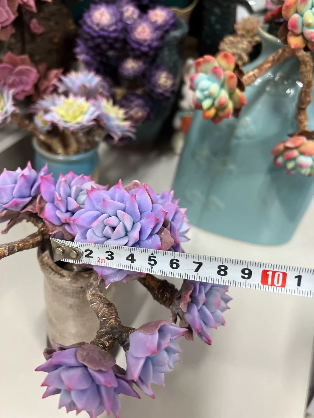 レジンクレイ ブルーパープル 多肉植物の茎