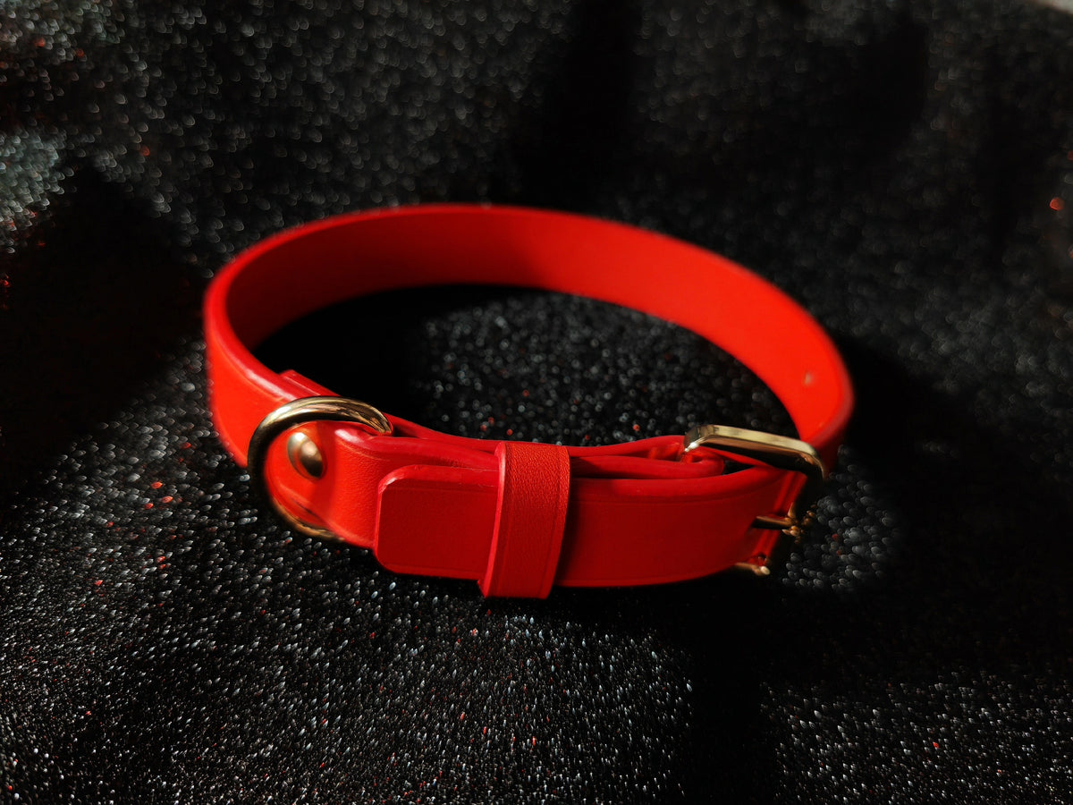 Red Leather Choker Pet Collar