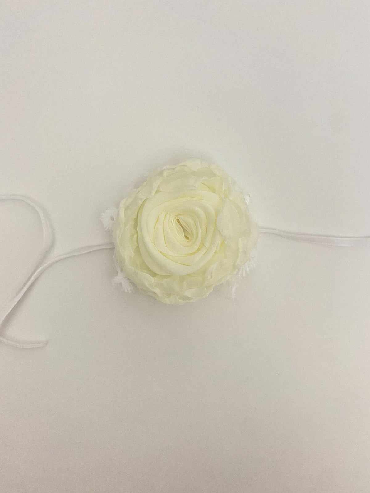 767177879585 - Image 6