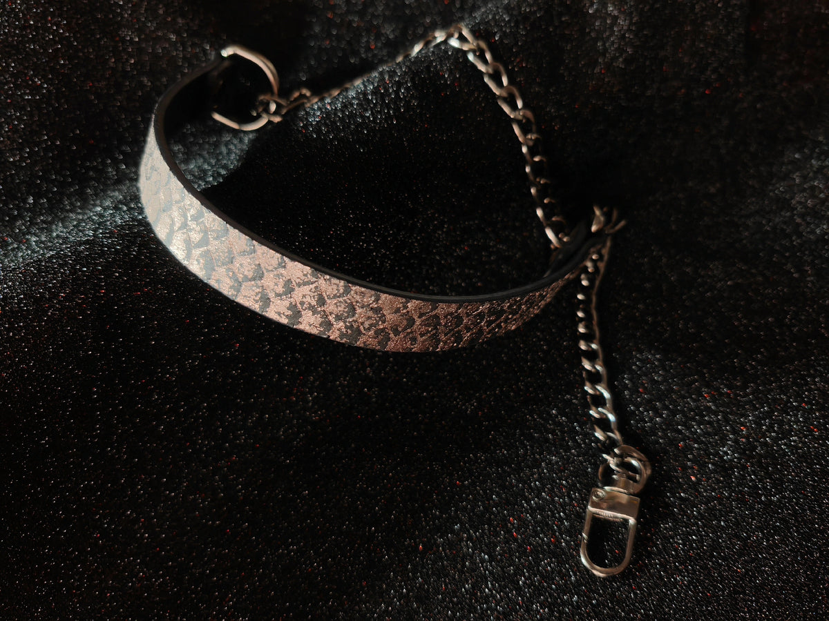 Black Snake Skin Pet Collar with Chain