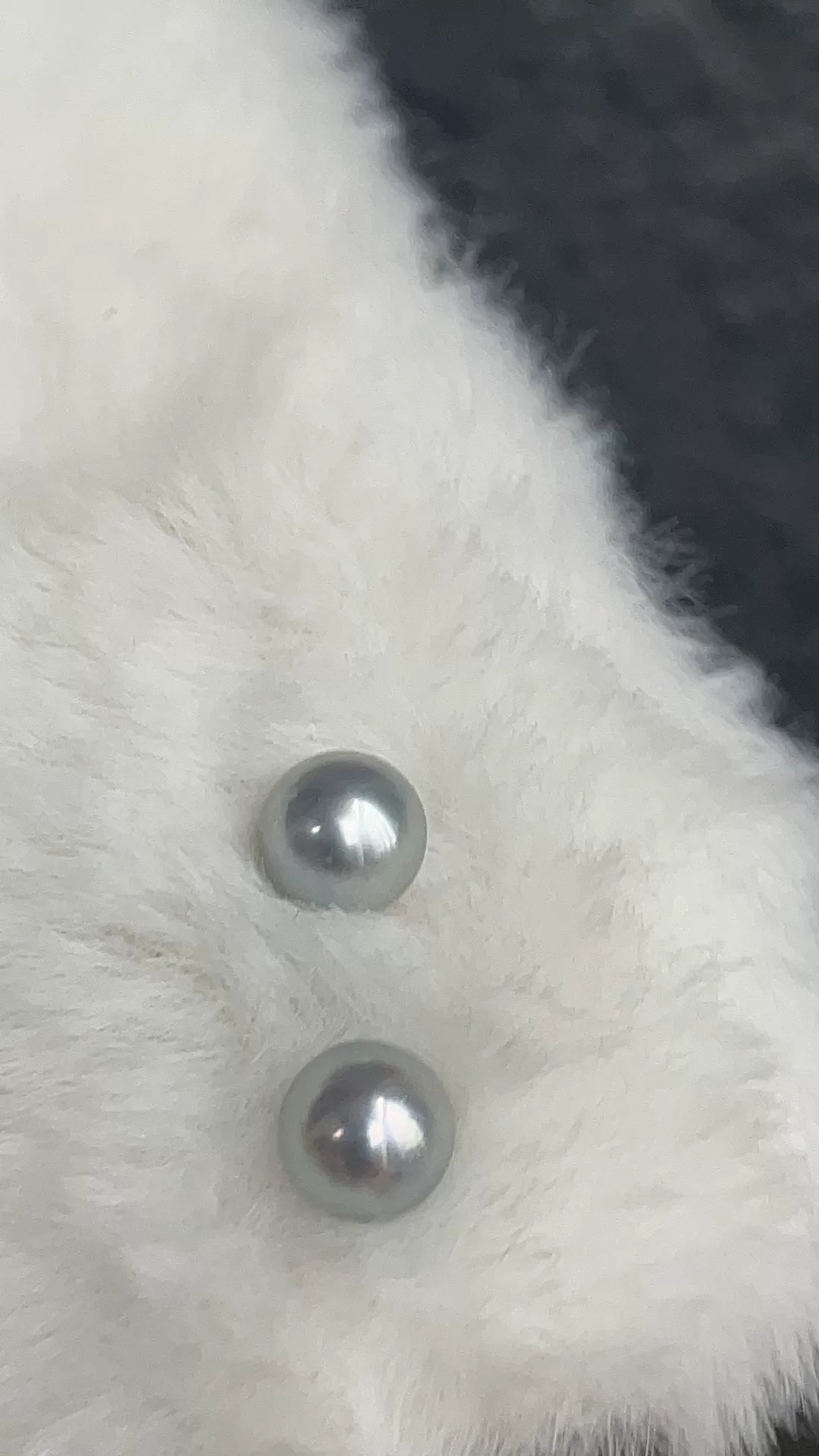 Silver Grey Saltwater Pearl Earring Pair