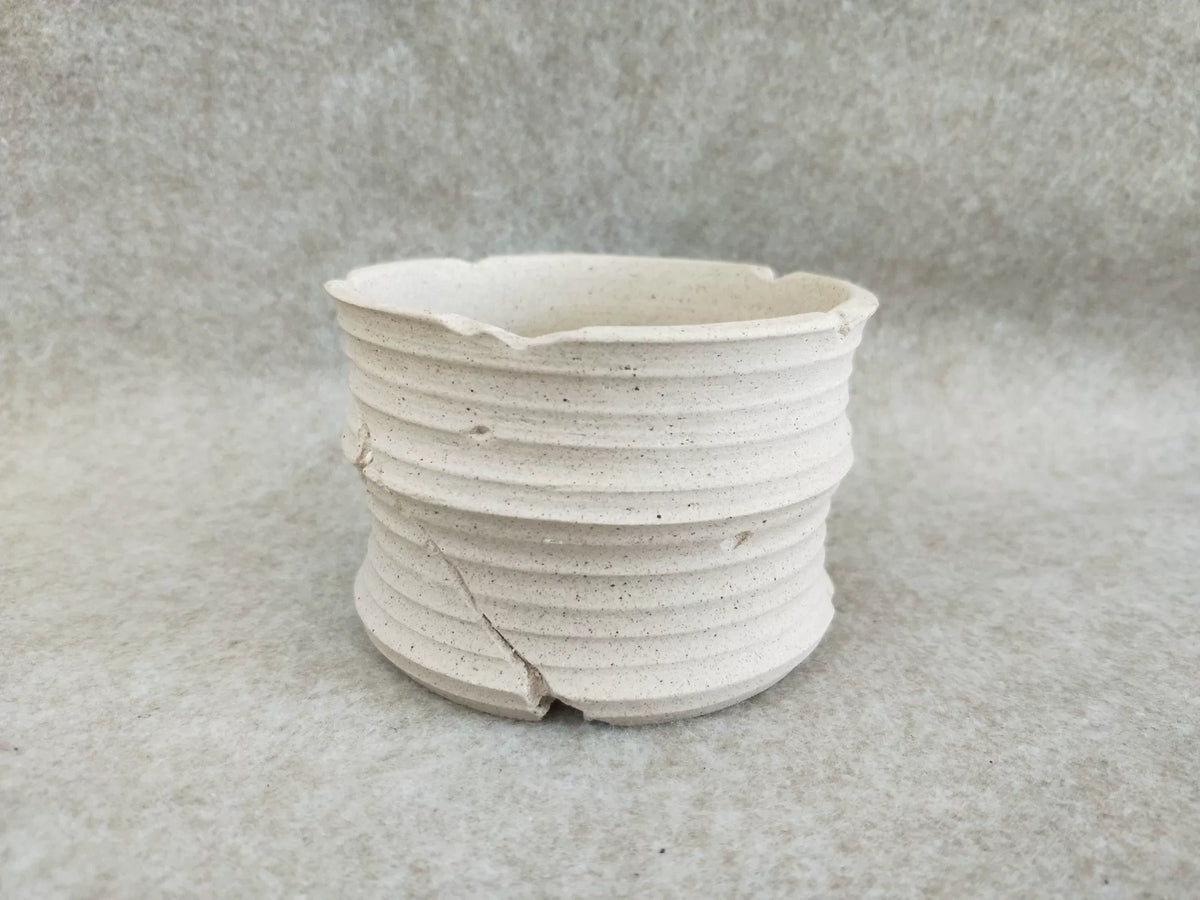 852873191996 - Image 4