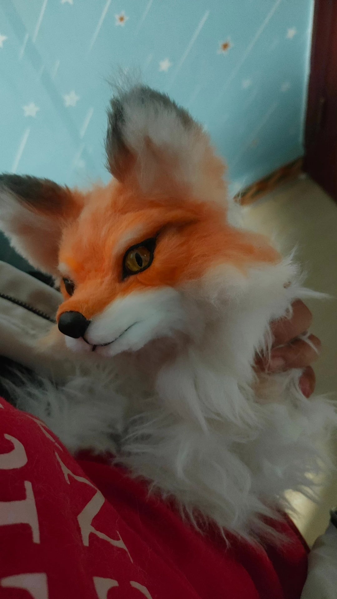 969383270457 - Image 5