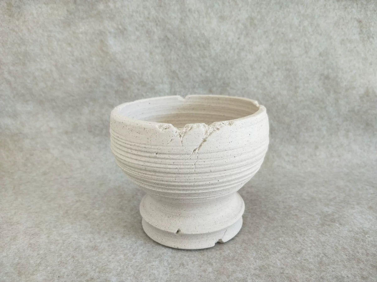 732589583051 - Image 4