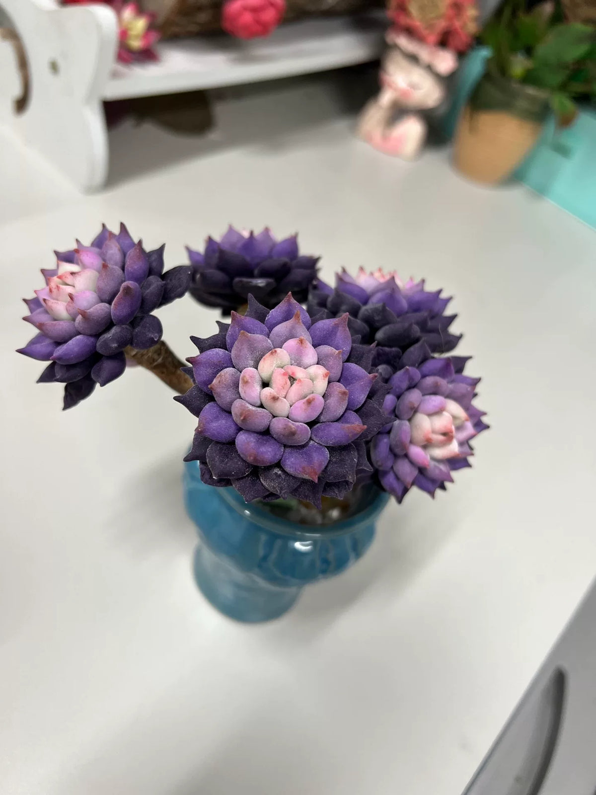 Decoração de Suculenta Roxa em Argila de Resina