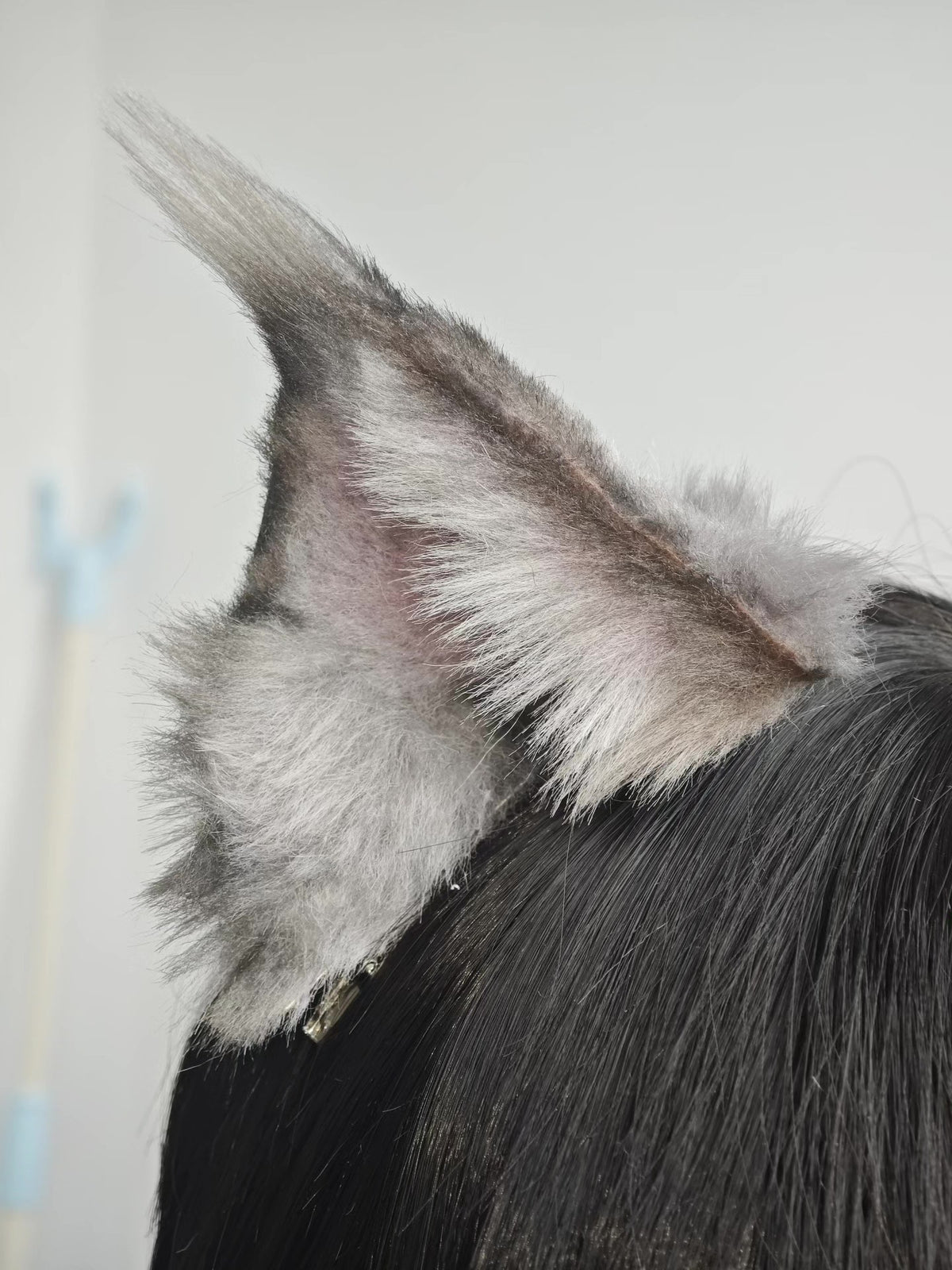896730541709 - Image 2
